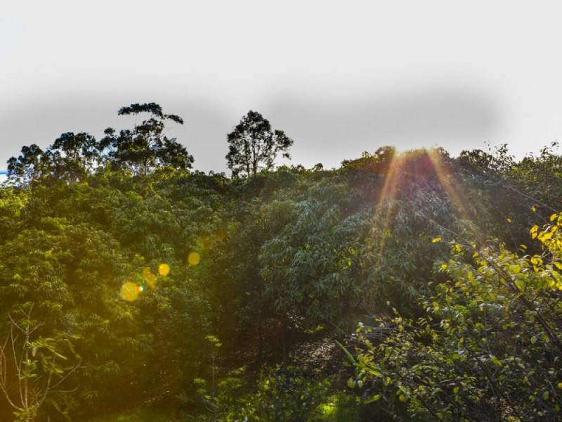 11 Helensvale Road, Helensvale QLD 4212