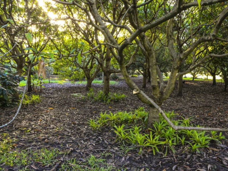 11 Helensvale Road, Helensvale QLD 4212