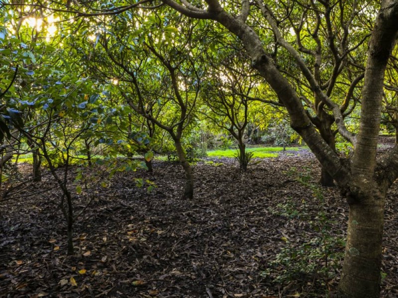 11 Helensvale Road, Helensvale QLD 4212