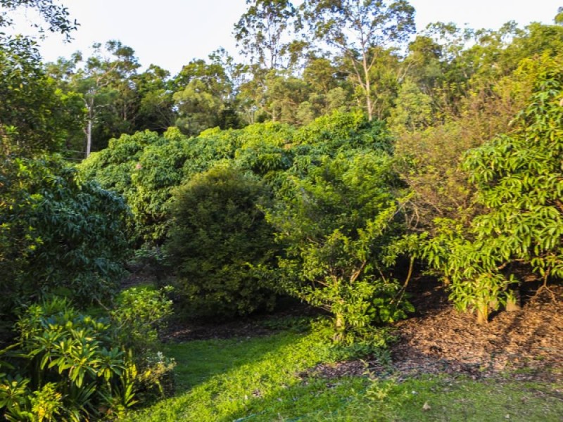 11 Helensvale Road, Helensvale QLD 4212