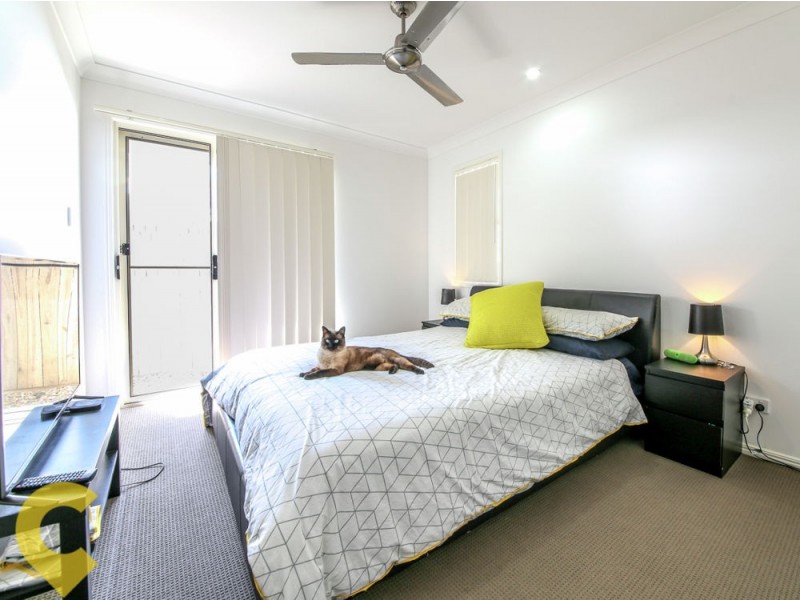 65 Damian Leeding Way, Upper Coomera QLD 4209