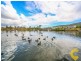 20 Abercrombie Crescent, Upper Coomera QLD 4209