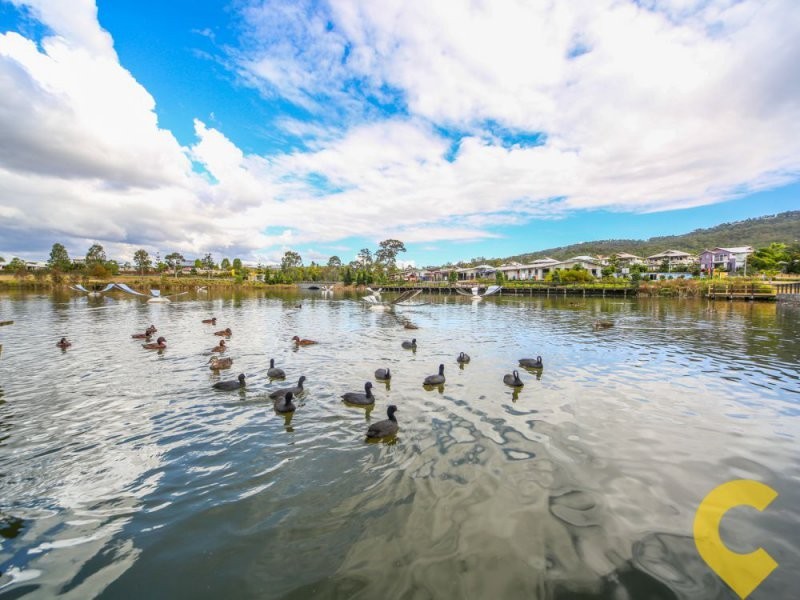 20 Abercrombie Crescent, Upper Coomera QLD 4209