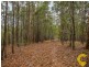 89 Baileys Mountain Road, Willow Vale QLD 4209