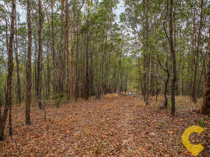 89 Baileys Mountain Road, Willow Vale QLD 4209