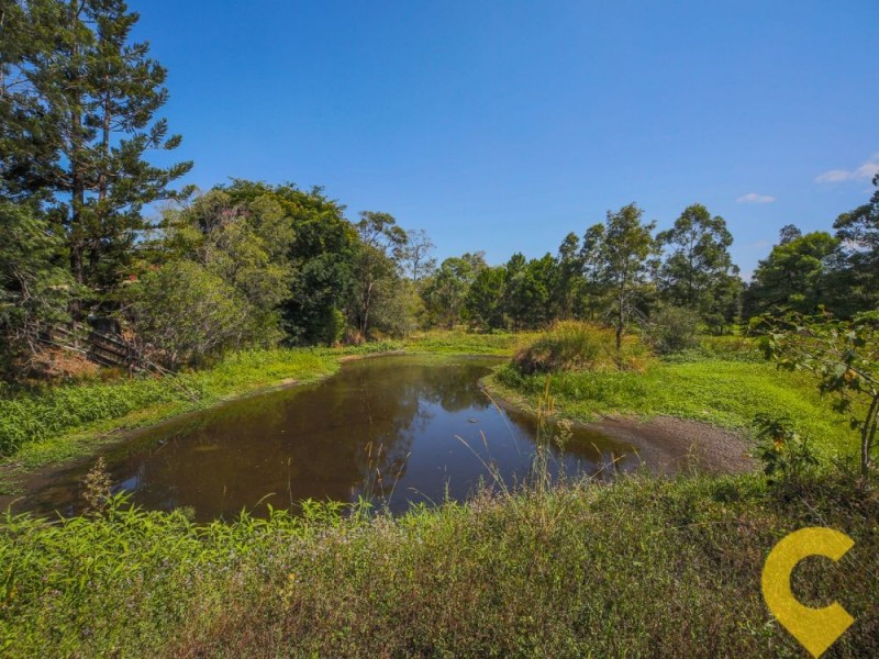 274 Reserve Road, Upper Coomera QLD 4209