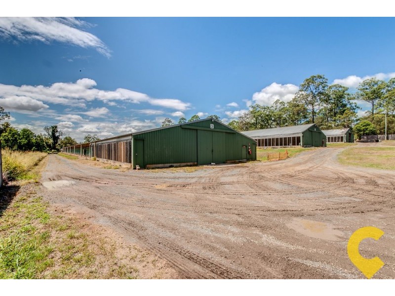 94 Park Ridge Rd, Park Ridge QLD 4125