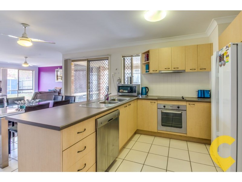 19 Blue Range Drive, Algester QLD 4115