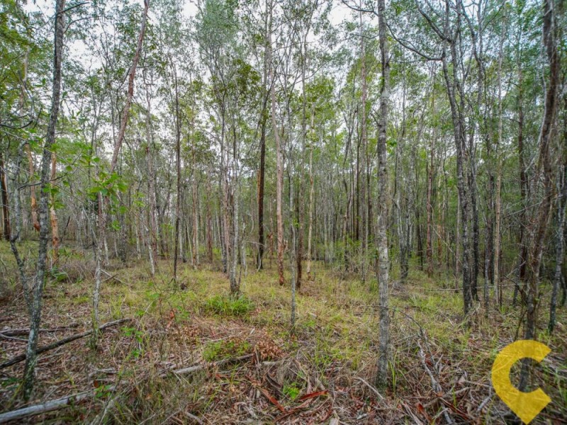 117 Kriedeman Road, Upper Coomera QLD 4209