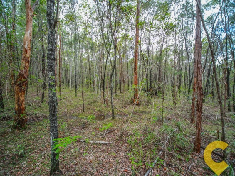 117 Kriedeman Road, Upper Coomera QLD 4209