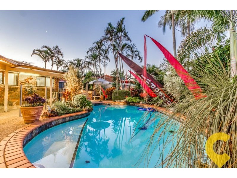 58 Alphitonia Crescent, Sunnybank Hills QLD 4109