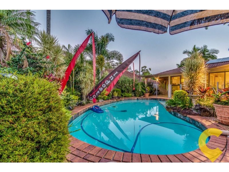 58 Alphitonia Crescent, Sunnybank Hills QLD 4109