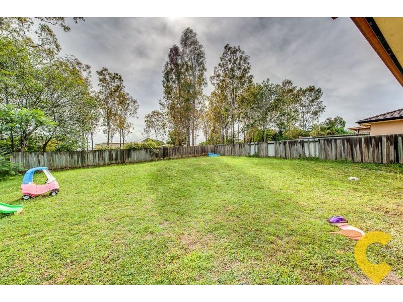 31 Ingles Drive, Redbank Plains QLD 4301
