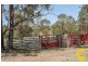 91 Maroon Dam Road, Maroon QLD 4310