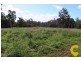 249-259 Hotz Road, Logan Village QLD 4207