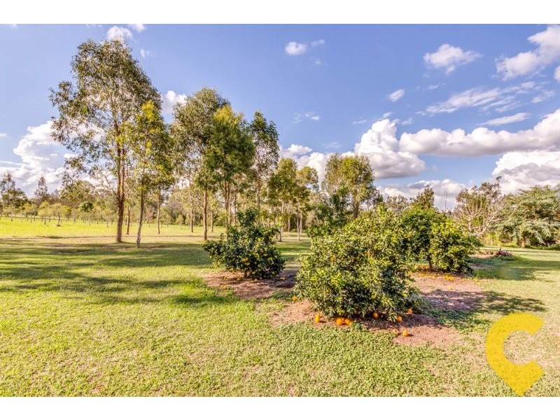 98 Allan Creek Road, Gleneagle QLD 4285