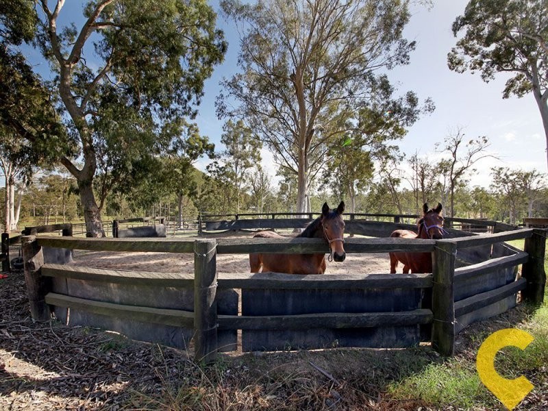 240 King Road, Wamuran QLD 4512