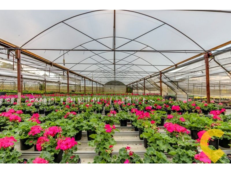 31-35 Haven Road, Carbrook QLD 4130