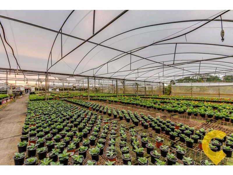 31-35 Haven Road, Carbrook QLD 4130