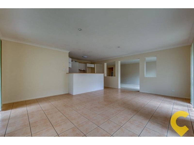 117 Sharpless Avenue, Springfield QLD 4300