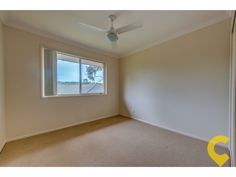 117 Sharpless Avenue, Springfield QLD 4300