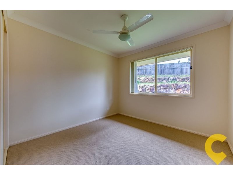 117 Sharpless Avenue, Springfield QLD 4300
