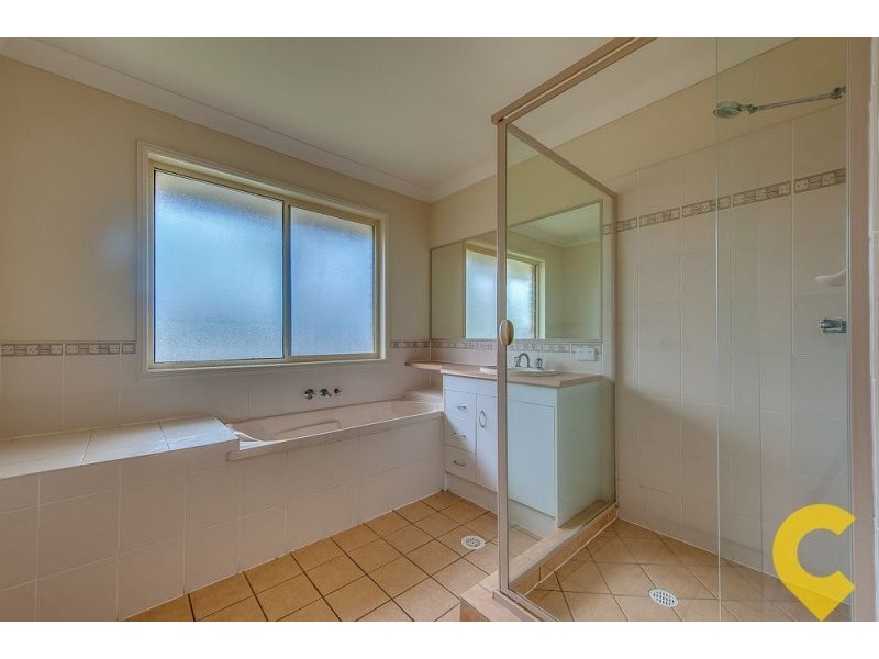 117 Sharpless Avenue, Springfield QLD 4300