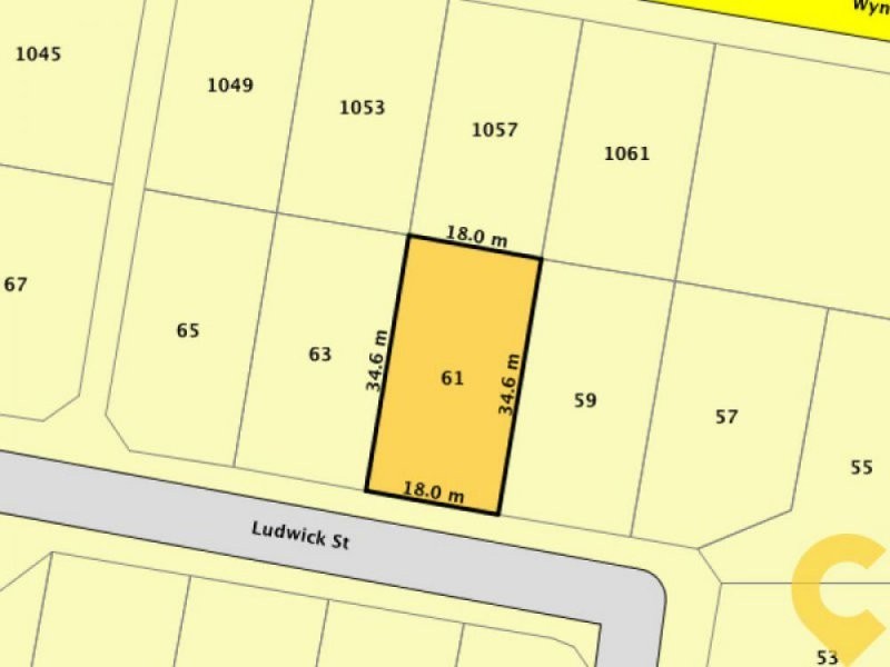 61 Ludwick Street, Cannon Hill QLD 4170