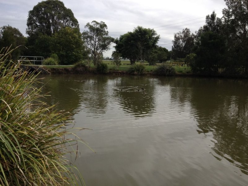 40 Seaton Street, Bald Hills QLD 4036