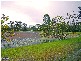 Elimbah QLD 4516
