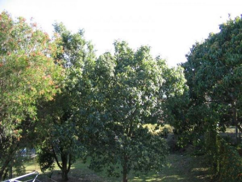 85 Reuben Street, Stafford QLD 4053