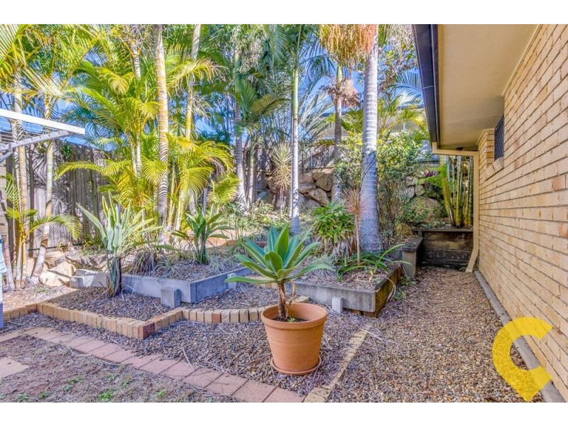 21 Alan Crescent, Eight Mile Plains QLD 4113