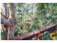 9 Nankin Street, Fig Tree Pocket QLD 4069