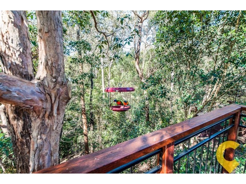 9 Nankin Street, Fig Tree Pocket QLD 4069
