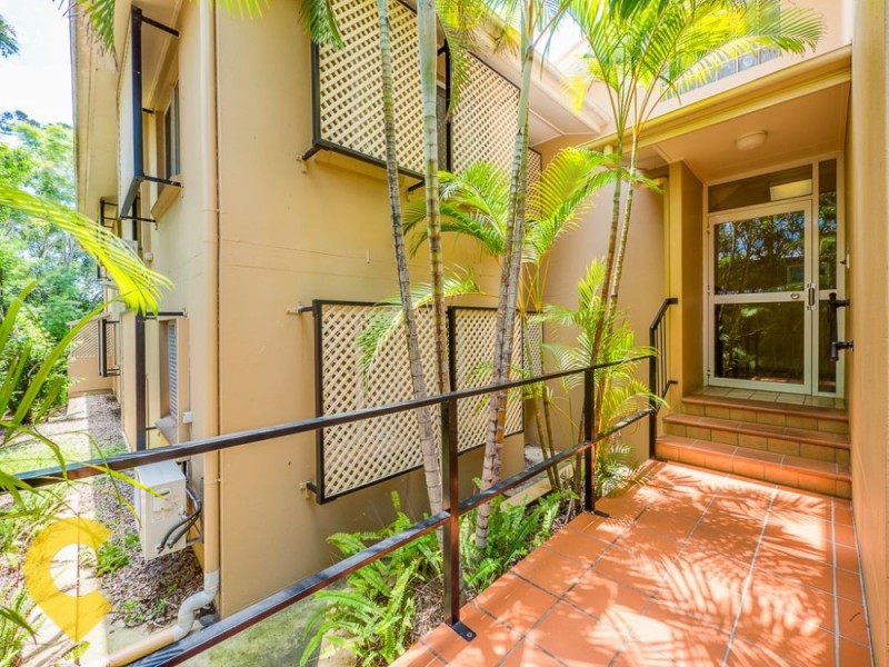 6/67 Elizabeth Street, Paddington QLD 4064
