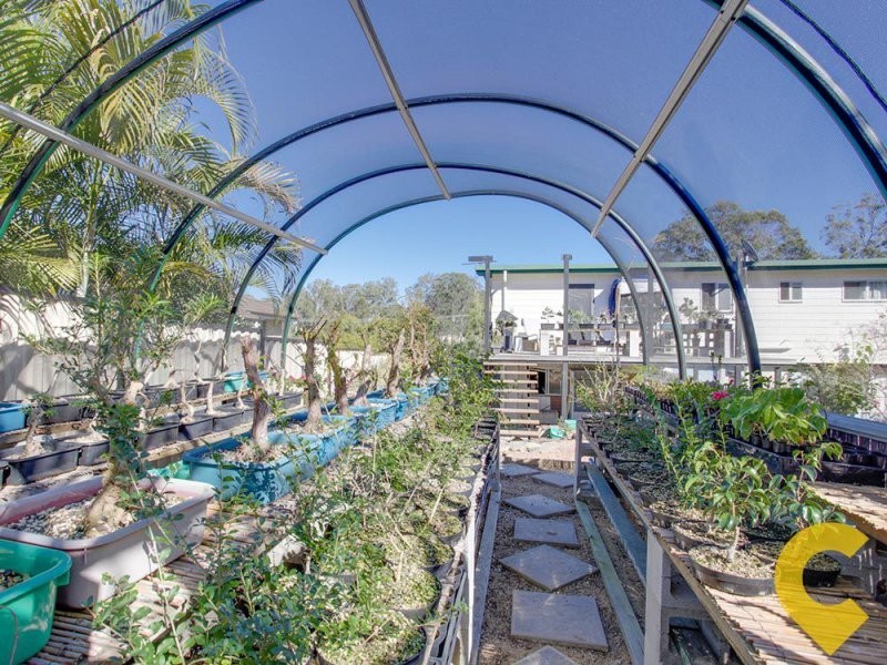 20 Arunga Street, Petrie QLD 4502
