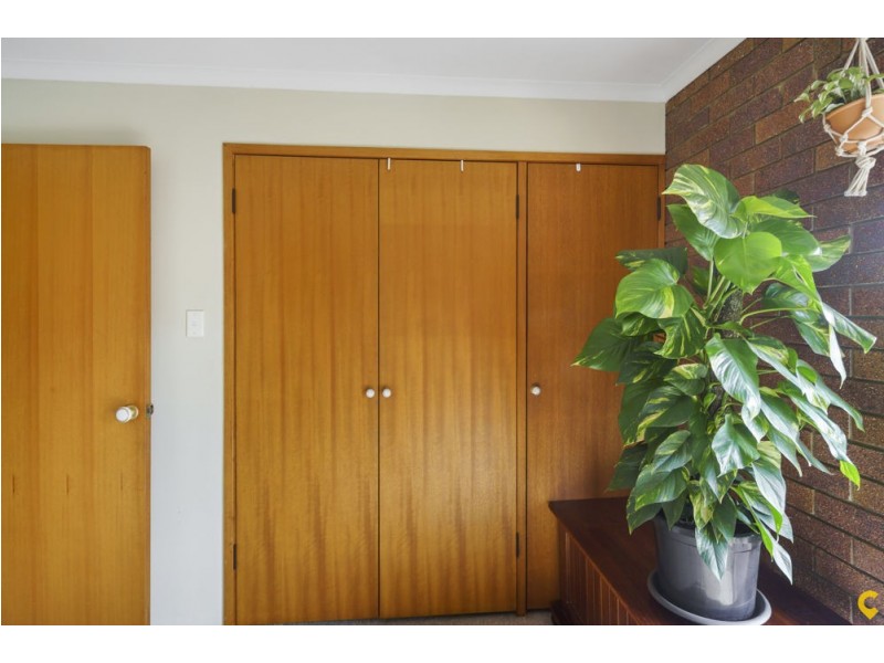 2/137 Olearia Street, Everton Hills QLD 4053