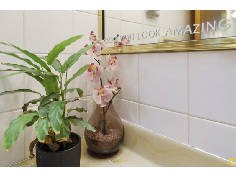 2/137 Olearia Street, Everton Hills QLD 4053