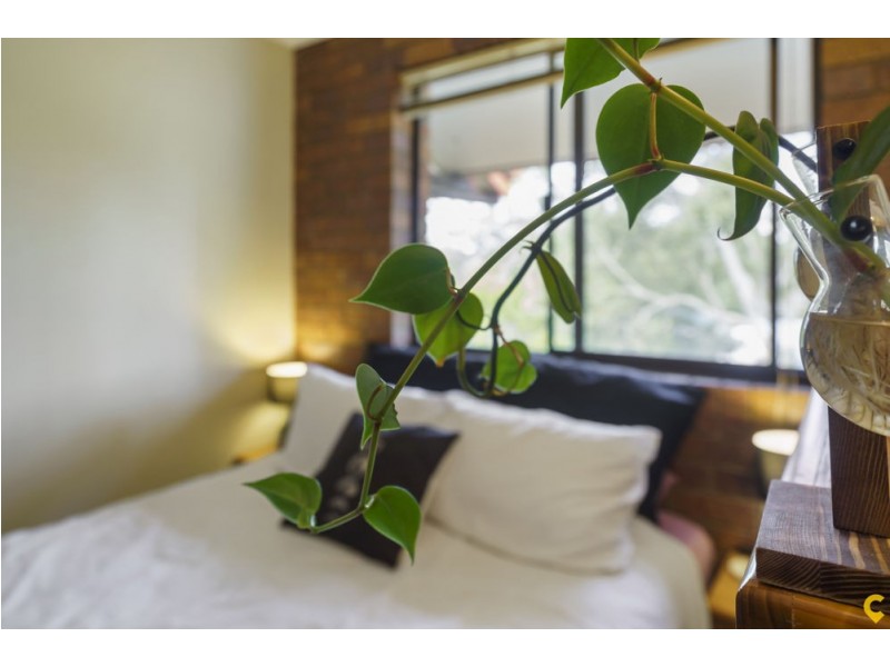 2/137 Olearia Street, Everton Hills QLD 4053