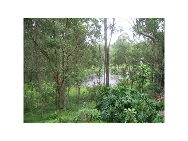 40 Bunya Road, Everton Hills QLD 4053