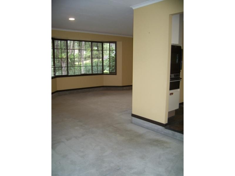 40 Bunya Road, Everton Hills QLD 4053