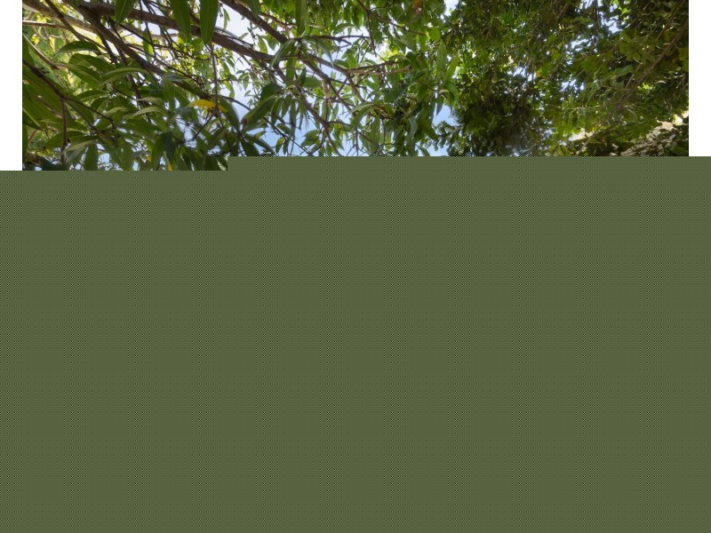 69 Bracken Street, Bracken Ridge QLD 4017