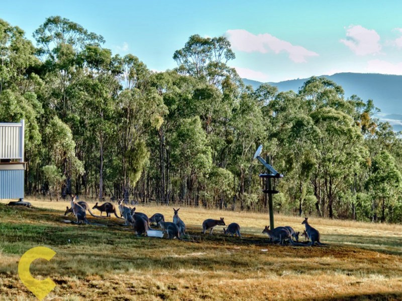 193 Golf Club Lane, Loch Lomond QLD 4370