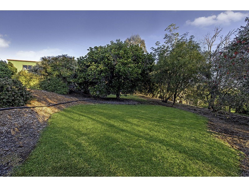 17 Palmer Drive, Highfields QLD 4352