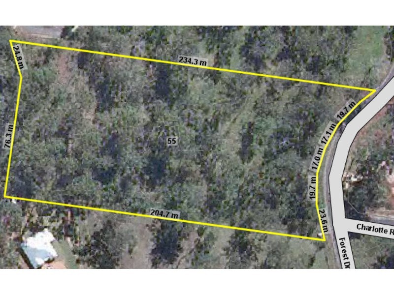 55 Forest Drive, Hampton QLD 4352