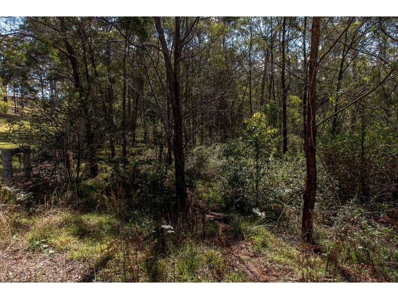 55 Forest Drive, Hampton QLD 4352