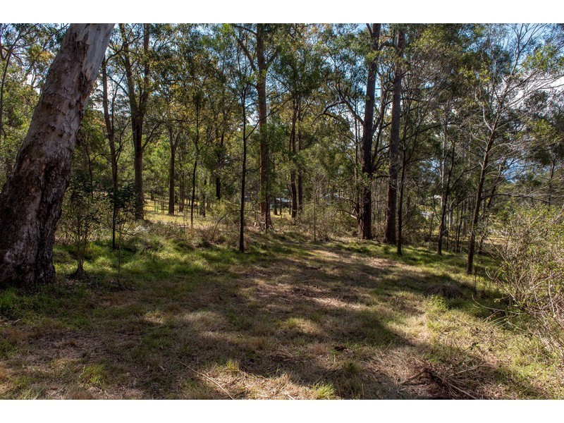 55 Forest Drive, Hampton QLD 4352