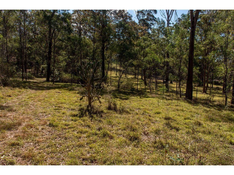 55 Forest Drive, Hampton QLD 4352