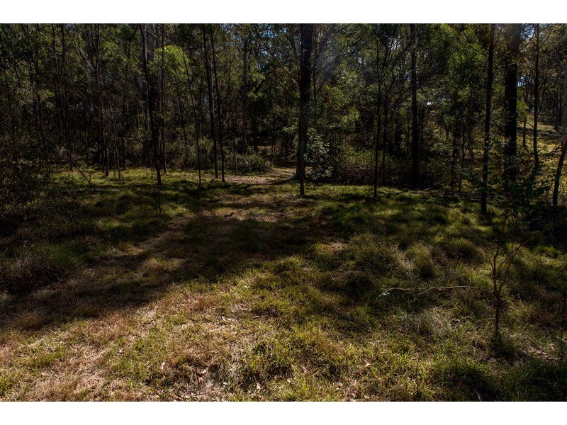 55 Forest Drive, Hampton QLD 4352