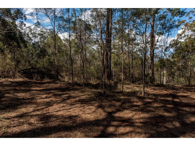 55 Forest Drive, Hampton QLD 4352